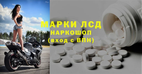стаф Аркадак