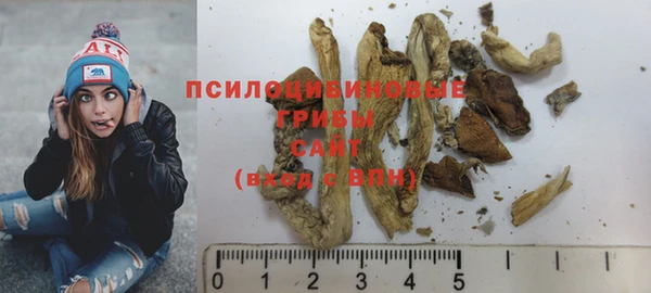 стаф Аркадак