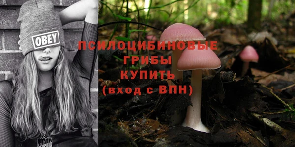 стаф Аркадак