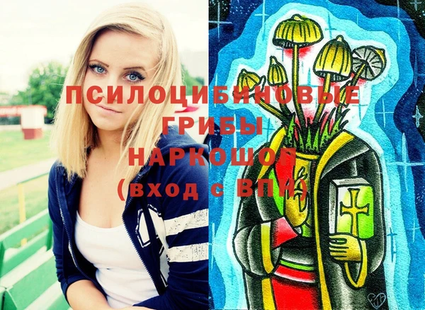 стаф Аркадак
