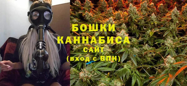 стаф Аркадак