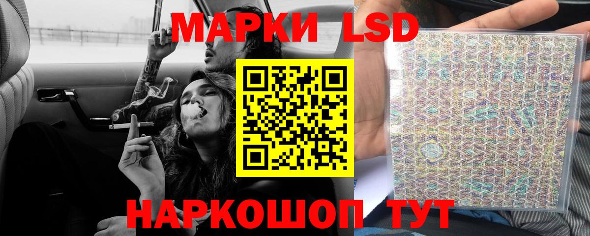 ЛСД экстази ecstasy  ОМГ ОМГ вход  Новозыбков  Вход с VPN  LSD-25 экстази ecstasy 
