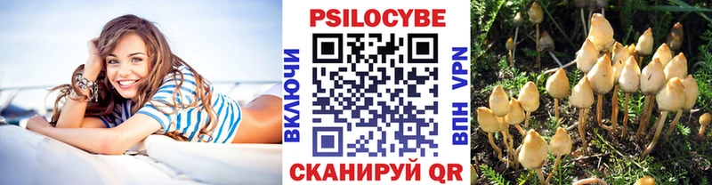 мега ТОР  Новозыбков  Псилоцибиновые грибы MAGIC MUSHROOMS 