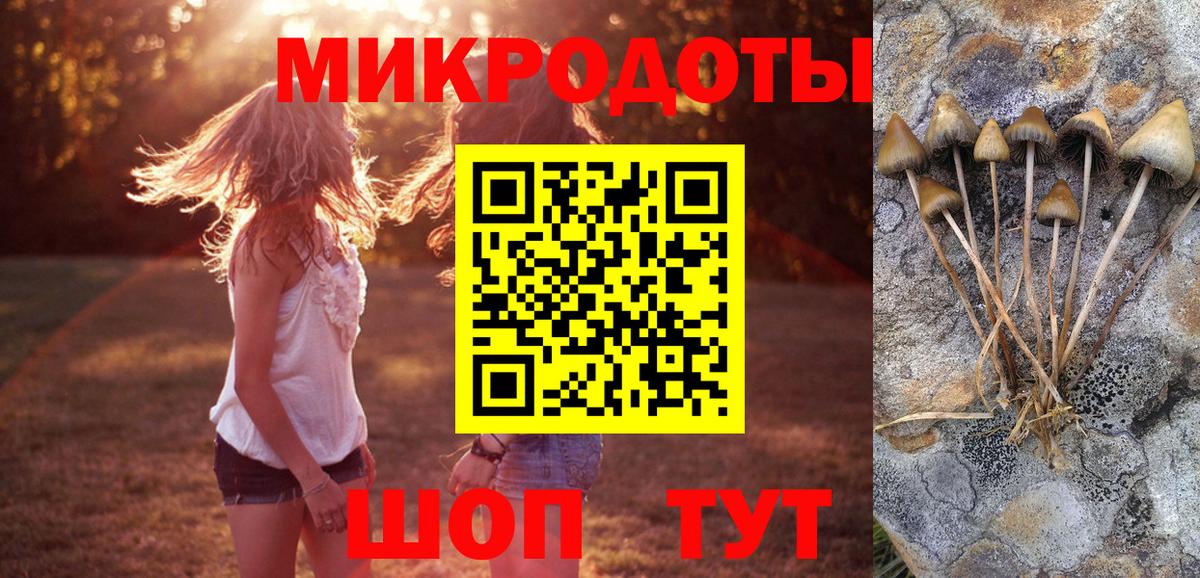 Псилоцибиновые грибы прущие грибы Новозыбков